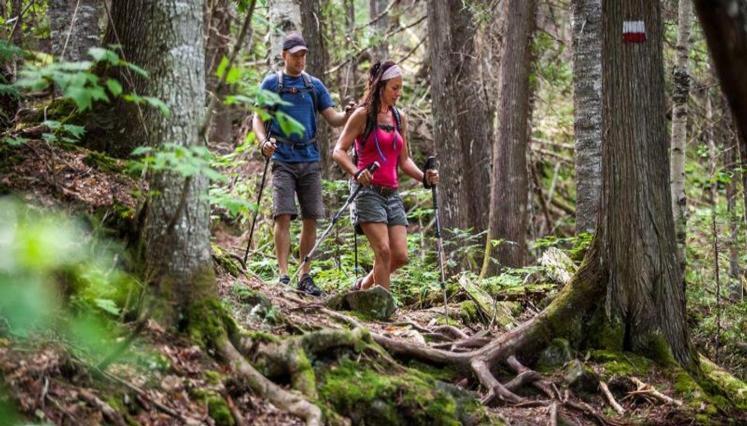 Le Nid Dore Sur Le Lac Val des Monts Ngoại thất bức ảnh